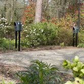Etrel Grey 2 X Dubbel Socket Landgoed Sikkeler close up